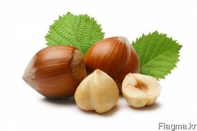 Фундук Hazelnuts