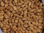 Almond nuts - фото 2