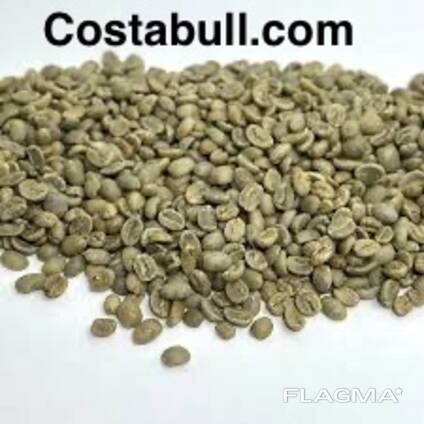 Arabica Coffee for sale | Robusta Coffee Supplier