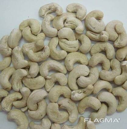 Cashew Nut Size W180 W240 W320 W450/ Certified WW320 Dried Cashew for Sale