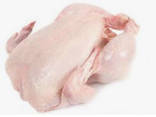 Chicken - фото 2