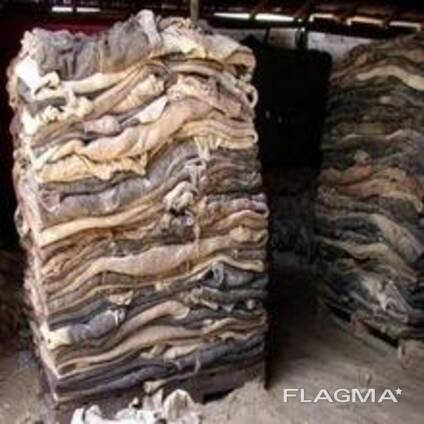 Best Price Dry And Wet Salted Cow Hides