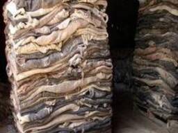 Best Price Dry And Wet Salted Cow Hides