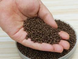 Diammonium Phosphate Fertilizer (DAP) | 18-46-0 | (50KG)
