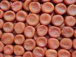 Dried Fruits and Nuts for Export - photo 1