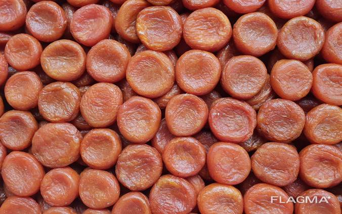 Dried Fruits and Nuts for Export
