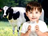 Drink milk powder 26% fat content - фото 2