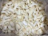 Freeze dried fruits wholesale - photo 6