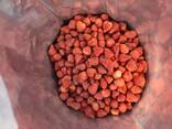 Freeze dried fruits wholesale - photo 13