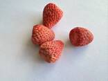 Freeze dried fruits wholesale - photo 14