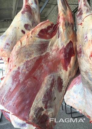 FROZEN BEEF