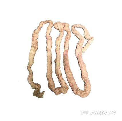 Frozen pork small intestine exporter for sale Frozen pork bowels,