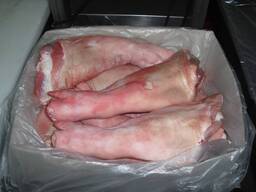 Frozen Porks , Frozen Porks Tail, Ears, Legs, Hind/ Frozen Pork, Pork Belly, Pork Loin