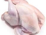 Frozen turkey - фото 1