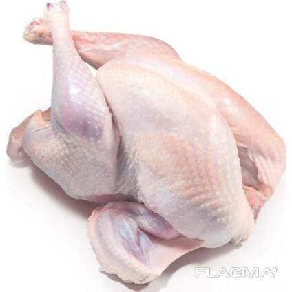 Frozen turkey