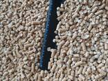 Гранулы древесные топливные пеллеты светлые 6 мм сосна экспорт FCA-Шклов, Беларусь - фото 4