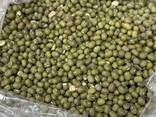 Green mung beans - фото 1