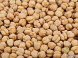 Greenfield Incorporation sells Chickpea /wholesale/ - photo 1
