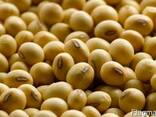 Greenfield Incorporation sells Soybean /wholesale/ - photo 1