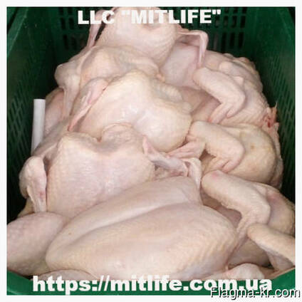 Халяль курица оптом Halal chicken wholesale in Ukraina