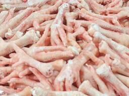 High Quality Chicken Paws/Wholesale Frozen Chicken Feet for Sale at Best Price