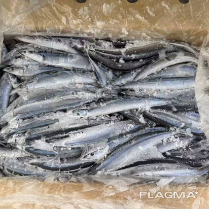 High quality horse mackerel frozen wild caught wholesale seafood supply for international
