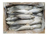 Mackerel Whole Round BQF Frozen Fish for Grilling Baking and Family Dinners Grade a - фото 3