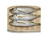High Quality Seafood Whole Fish Horse Mackerel Frozen Pacific Mackerel Fish - photo 3
