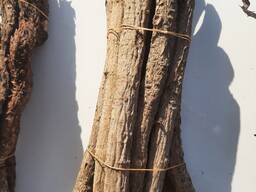 Licorice Root slices (a, b, c, d)