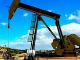 JP54, A1, D2, D6, M100, Crude oil, gasolene, LPG, LNG - photo 1