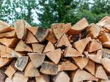 Oak Firewood/Firewood Logs in bulk - фото 1