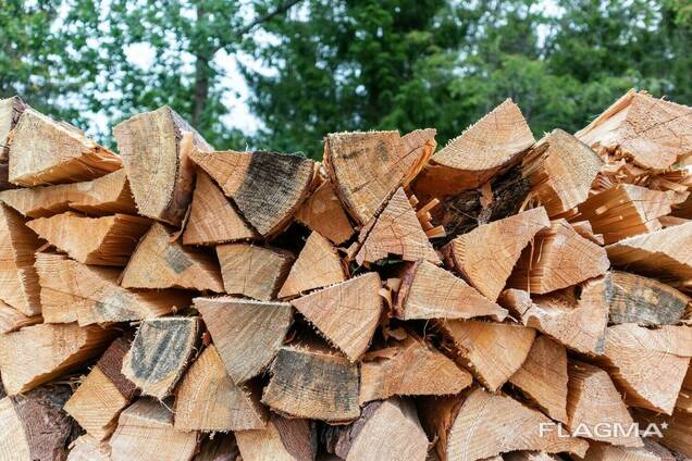 Oak Firewood/Firewood Logs in bulk