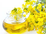 Oil sunflower  /rapeseed origin Ukraine - photo 1