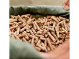 Pine Wood Pellets 100% Wooden Pellets 6mm Wood Pellets - фото 1