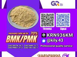 PM. K CA. S:28578-16-7/ BM. K 5449-12-7/ value-priced chemical solutions
