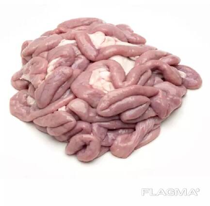 Pork small intestines