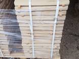 Sell planks boards Fraxinus (Ash) - фото 5
