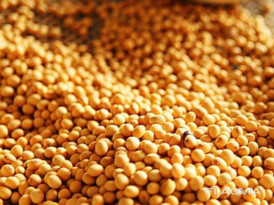 Soybeans
