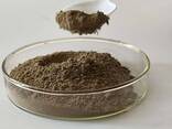 Spongilla powder – FreshSponge Export - photo 2