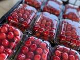 Sweet cherries - photo 2