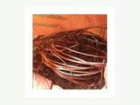 Top High Quality Copper Wire Scrap 99% for sale - photo 1