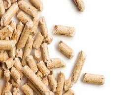 Wood pellets , best prices in Market for Asia
