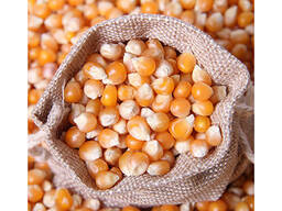 Wholesale Organic Dried Yellow Maize Corn for Animal Feed